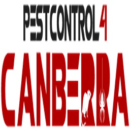 Best Mouse Removal Canberra